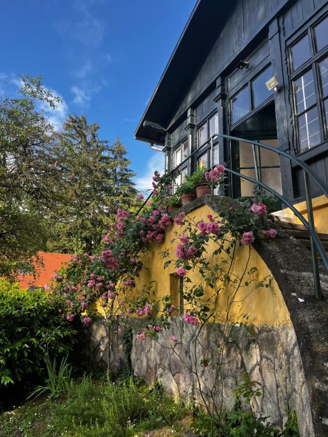 Apartmentvillasolomon7 Visegrad Exterior photo